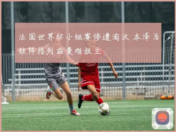 法国世界杯小组赛惨遭淘汰 本泽马缺阵格列兹曼难救主