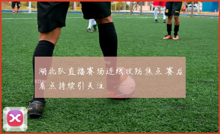 湖北队直播赛场连线攻防焦点 赛后看点持续引关注