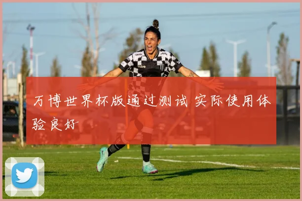 万博世界杯版通过测试 实际使用体验良好